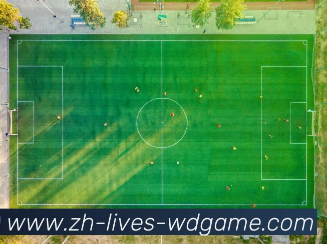 YY体育足球西甲直播服务体验报告